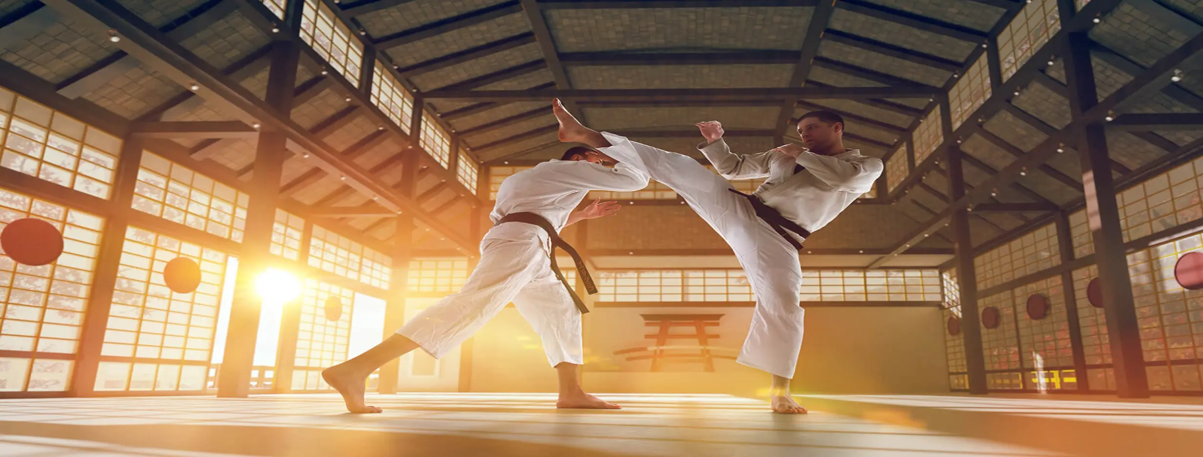 Image for Martial Arts Workshop